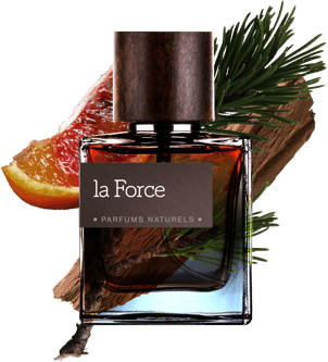 parfum force